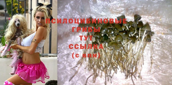 метадон Абинск