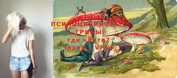 мяу мяу мука Абаза
