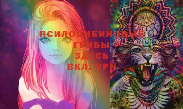 молекула духа Алексин