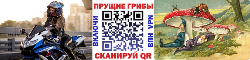 OMG как войти  Алексеевка  Псилоцибиновые грибы мухоморы  купить наркотики сайты 